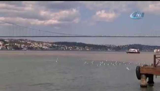 İstanbul Boğazı'nda şaşırtan görüntü, korkutan söylenti...