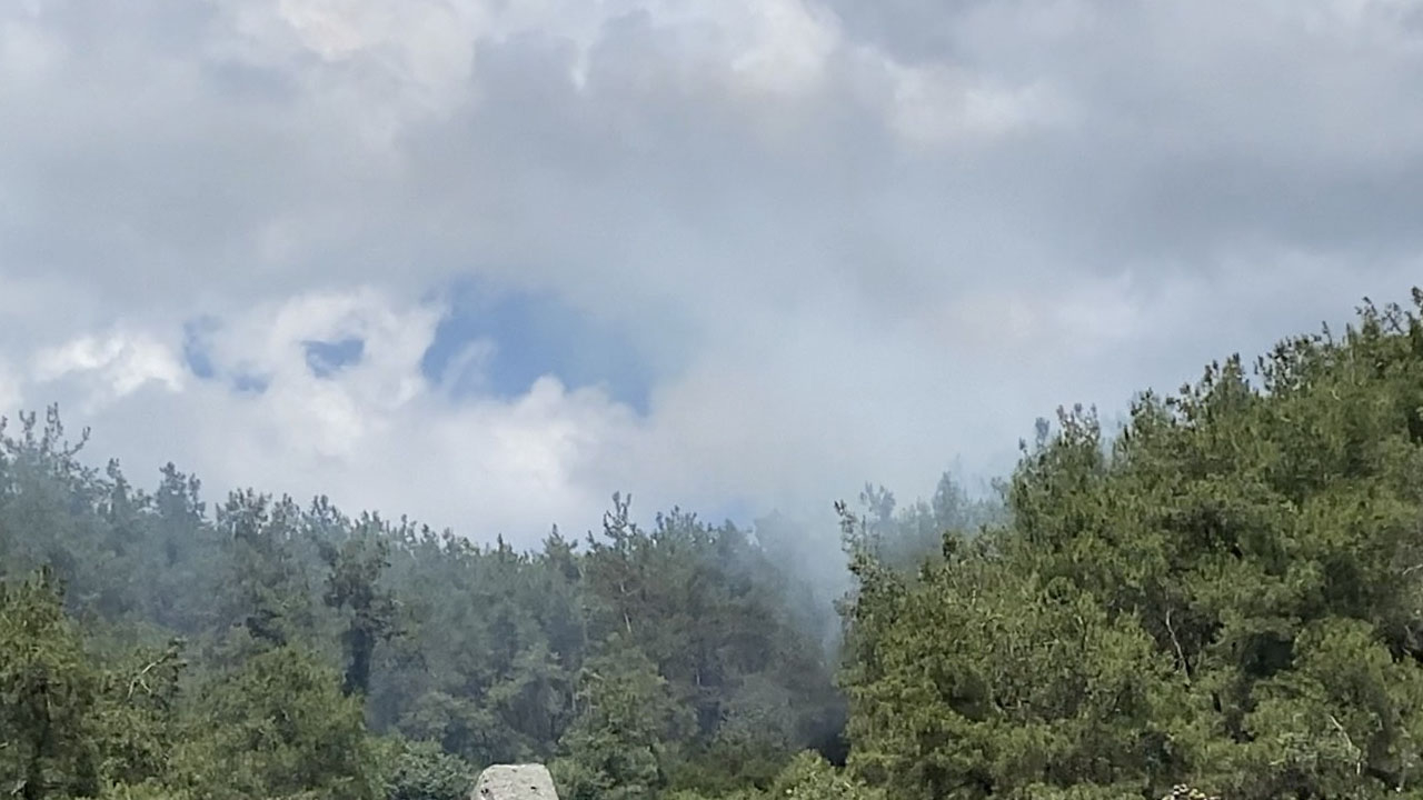 Sarıyer'de ormanlık alanda yangın!