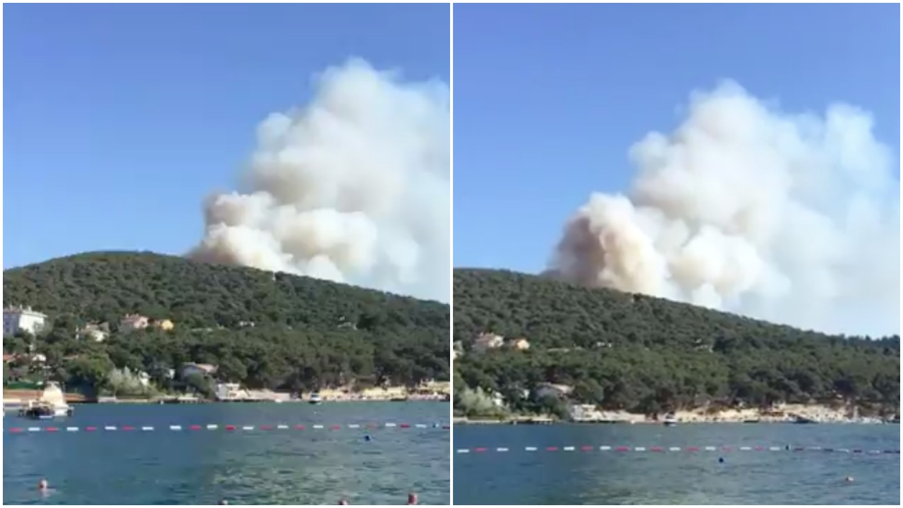Heybeliada'da orman yangını