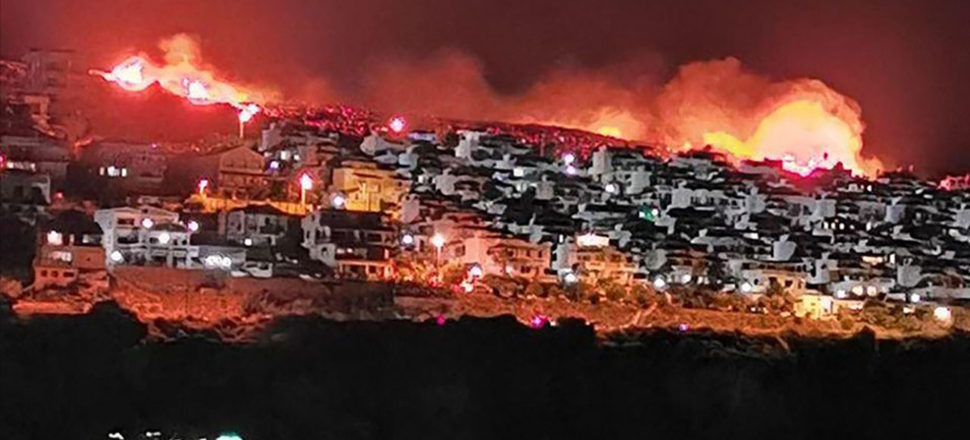 İzmir'de makilik alanda korkutan yangın