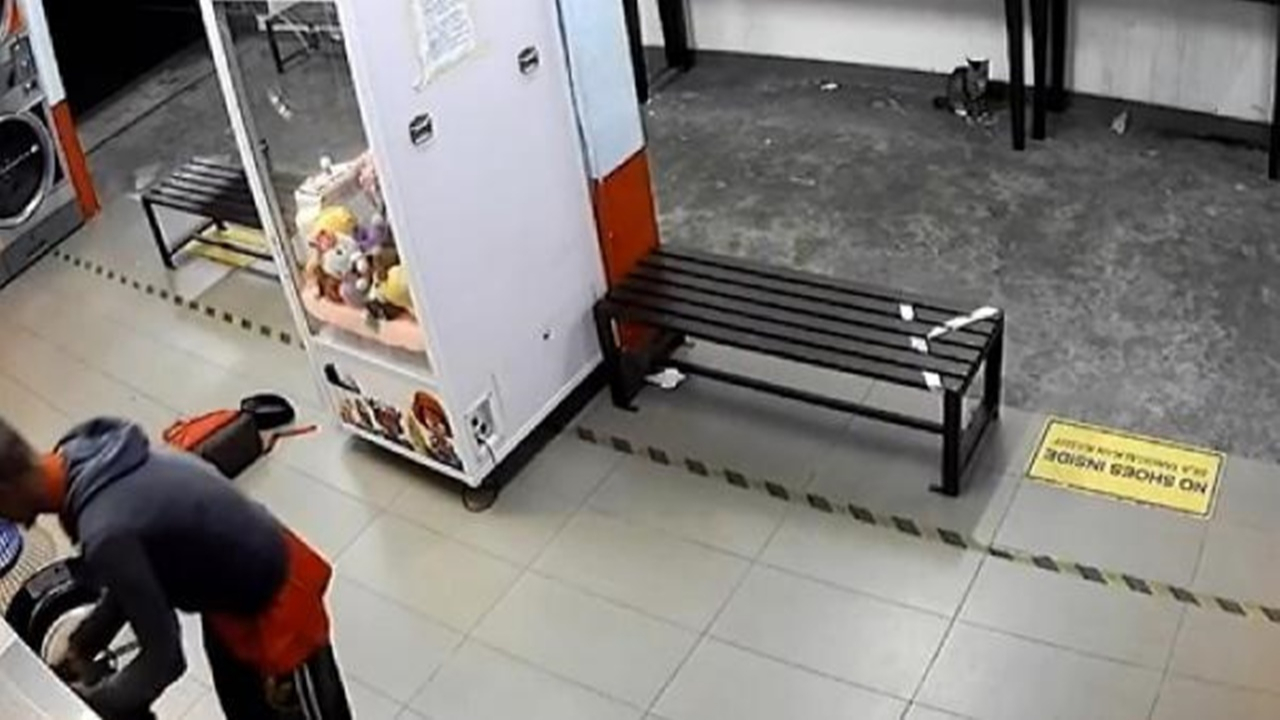3 kediyi çamaşır makinesine attı!