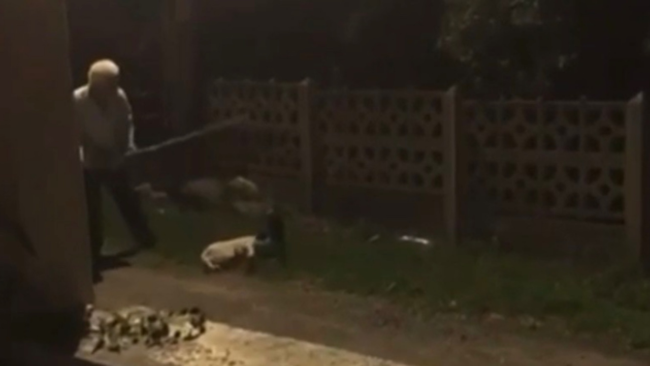 Köpeği sopayla dövdü! Son fotoğrafı yüreklere su serpti...