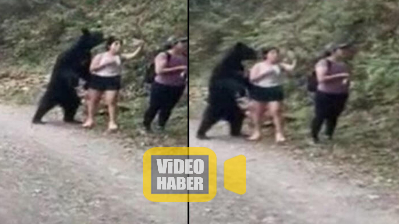 Meksika’da parkta karşılarına çıkan ayı ile selfie çektiler