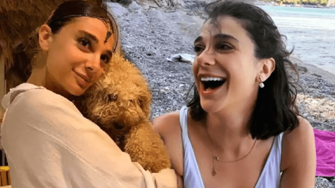 Pınar Gültekin'in cansız bedeni bulundu