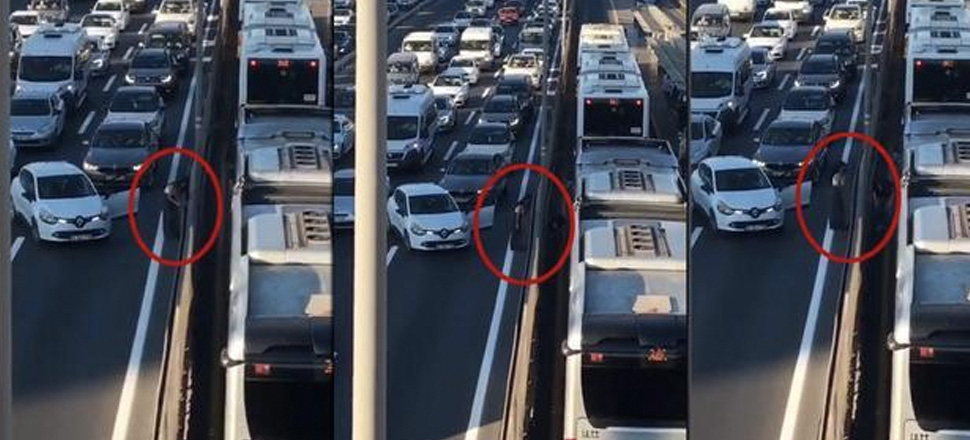 Kadın sürücünün kedi kurtarma operasyonu