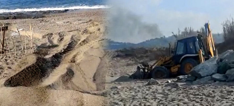 Antalya'da deniz kaplumbağası yuvaları, iş makinesiyle ezildi!