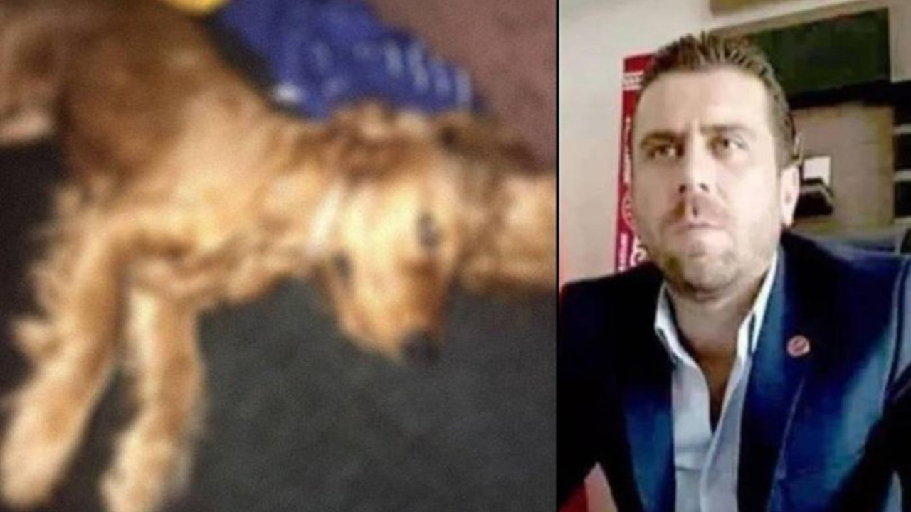 Köpeğe tecavüz iddiasıyla tutuklandı