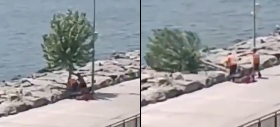 İBB'den Florya'da ağaç kıyımı