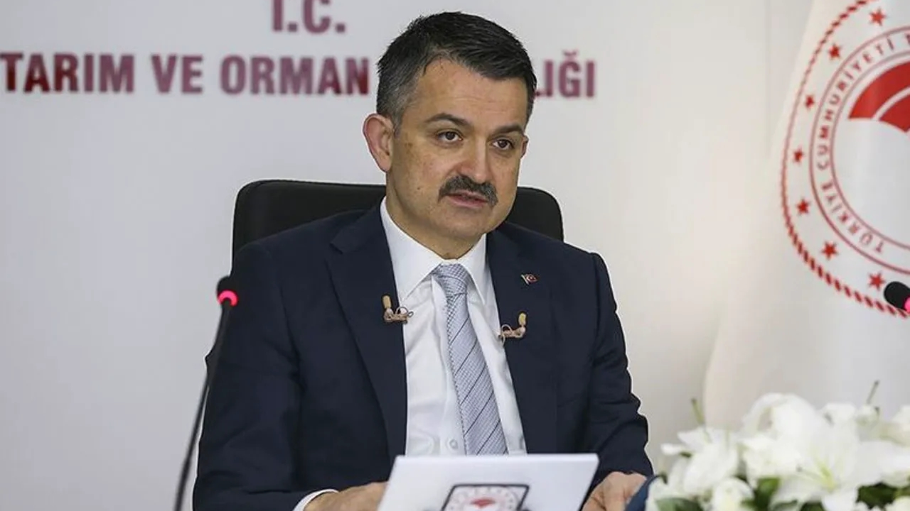 Mısırın alım fiyatı belli oldu