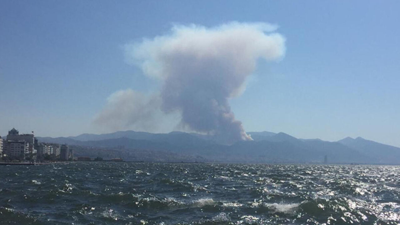 İzmir Balçova'da orman yangını