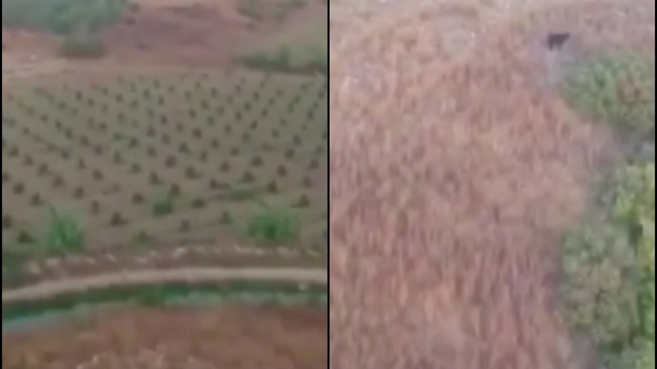 Kayıp kurbanlık drone ile bulundu
