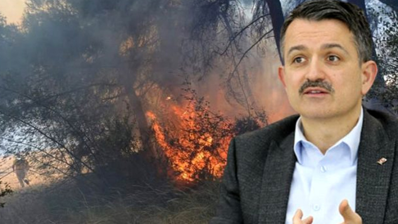 Bakan Pakdemirli: Çıkan yangınlar normal değil, 1 kişi gözaltında