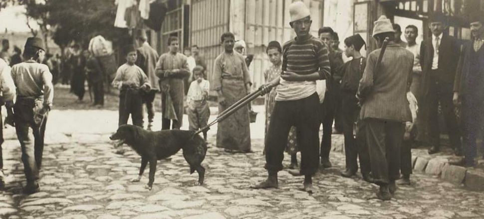 Hayvanları koruma cemiyeti