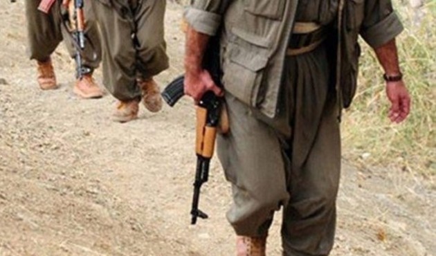 PKK'nın üst düzey yöneticisi yakalandı
