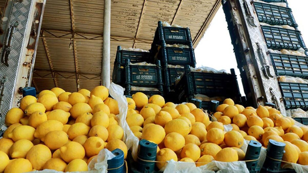 Limon ihracatında ön izin şartı kalktı