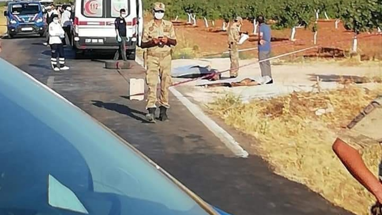 Baba ve oğul fıstık için öldürüldü