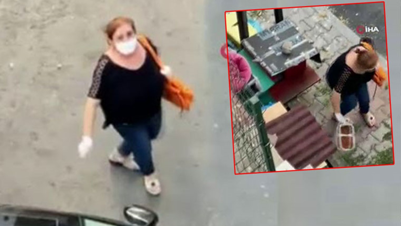 Sokak kedilerinin mamasını çöpe attı