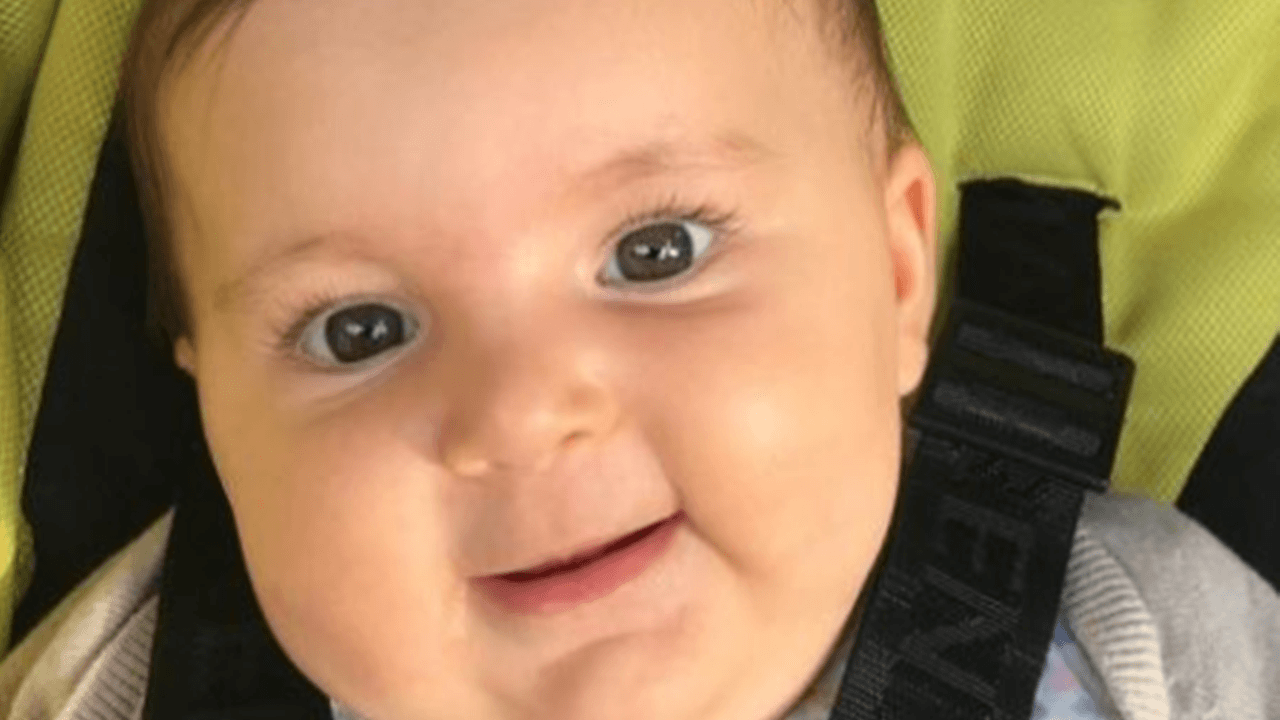 Mercan bebek kahramanlarını arıyor