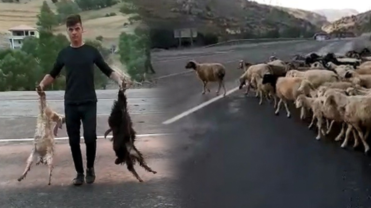 "Canımıza tak etti tek isteğimiz 'Oğlaklar alt geçiti'"