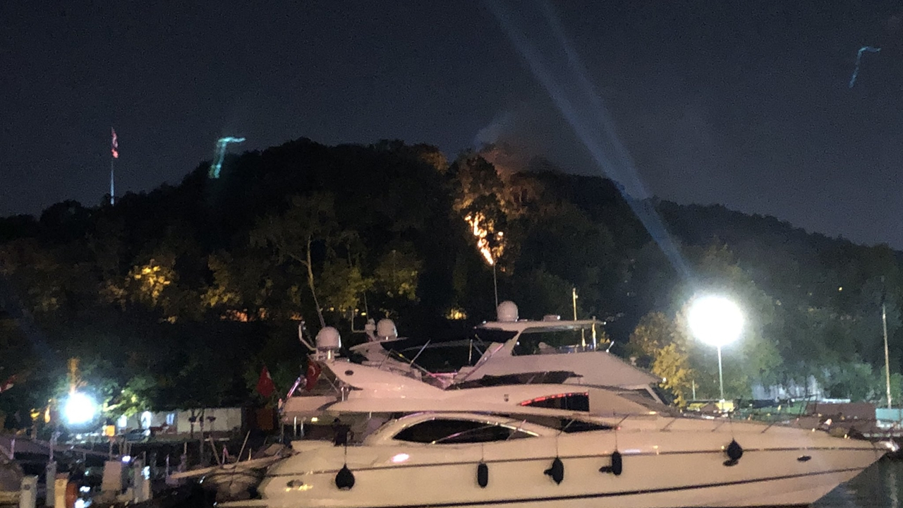 İşte Emirgan Korusu'ndaki yangının nedeni