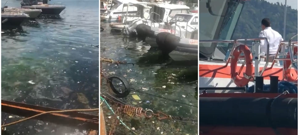 Bebek'te, denizin içler acısı durumu isyan ettirdi