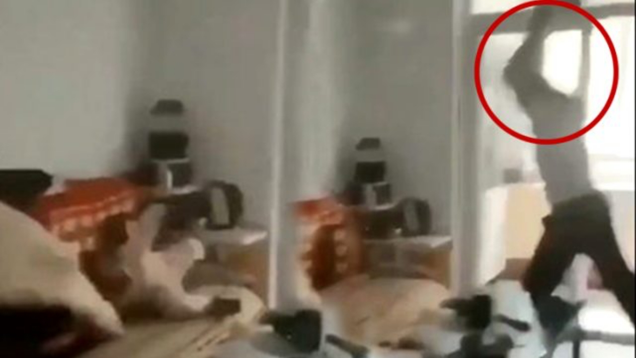 Cani baba sosyal medyayı ayaklandırdı