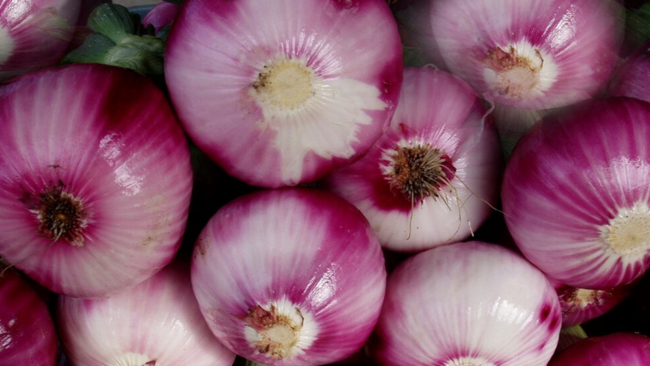 Koronanın vurduğu ABD'ye bir virüs şoku daha!