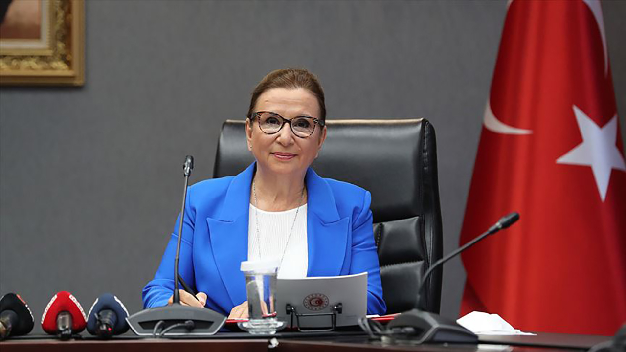 Kocaeli'de yarım ton kokain yakalandı
