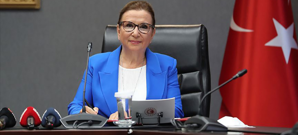 Kocaeli'de yarım ton kokain yakalandı
