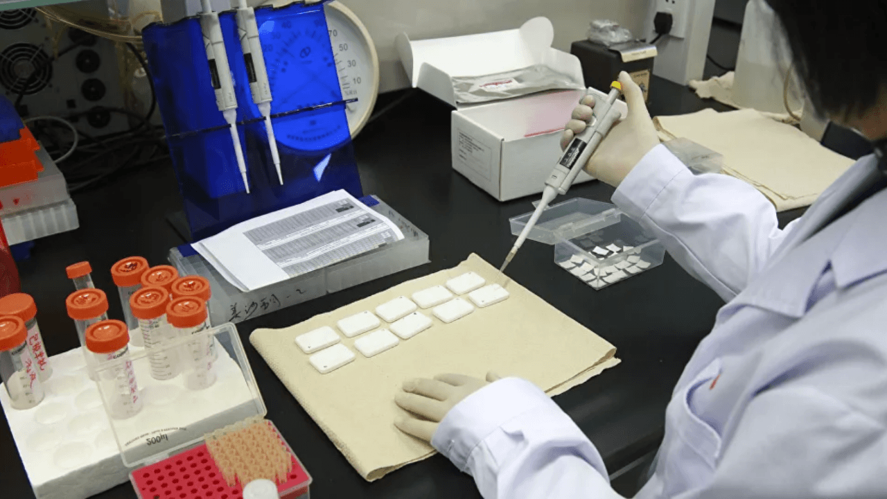 Tedavi olmadan HIV'i yendi