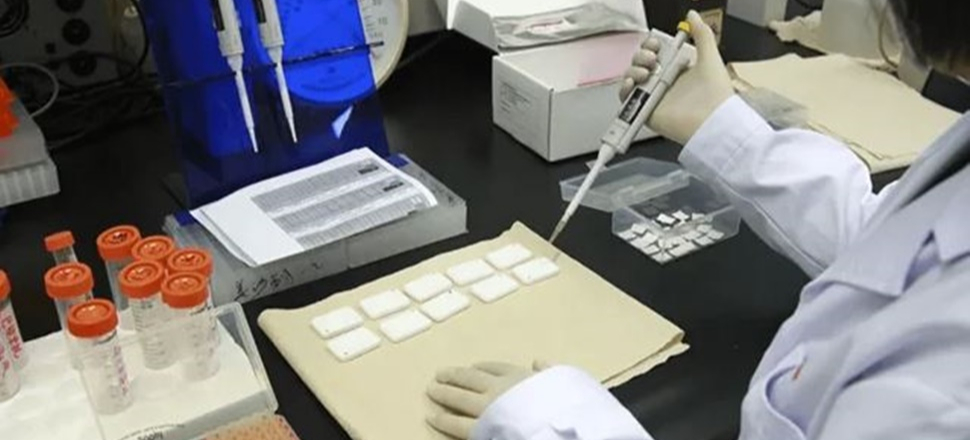 Tedavi olmadan HIV'i yendi