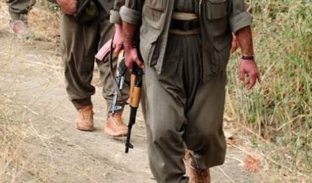 PKK'lı teröristin ''Evet'' korkusu VİDEO