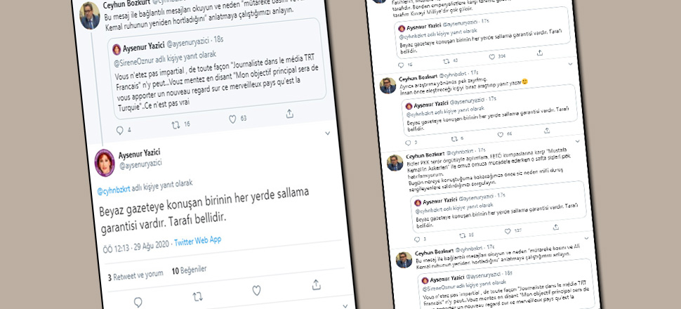 Ceyhun Bozkurt: 'Mütareke basını ve Ali Kemal ruhu hortladı'