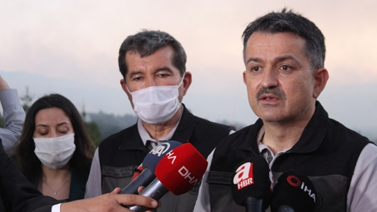 Bakan Pakdemirli: Denizli yangını kontrol altında