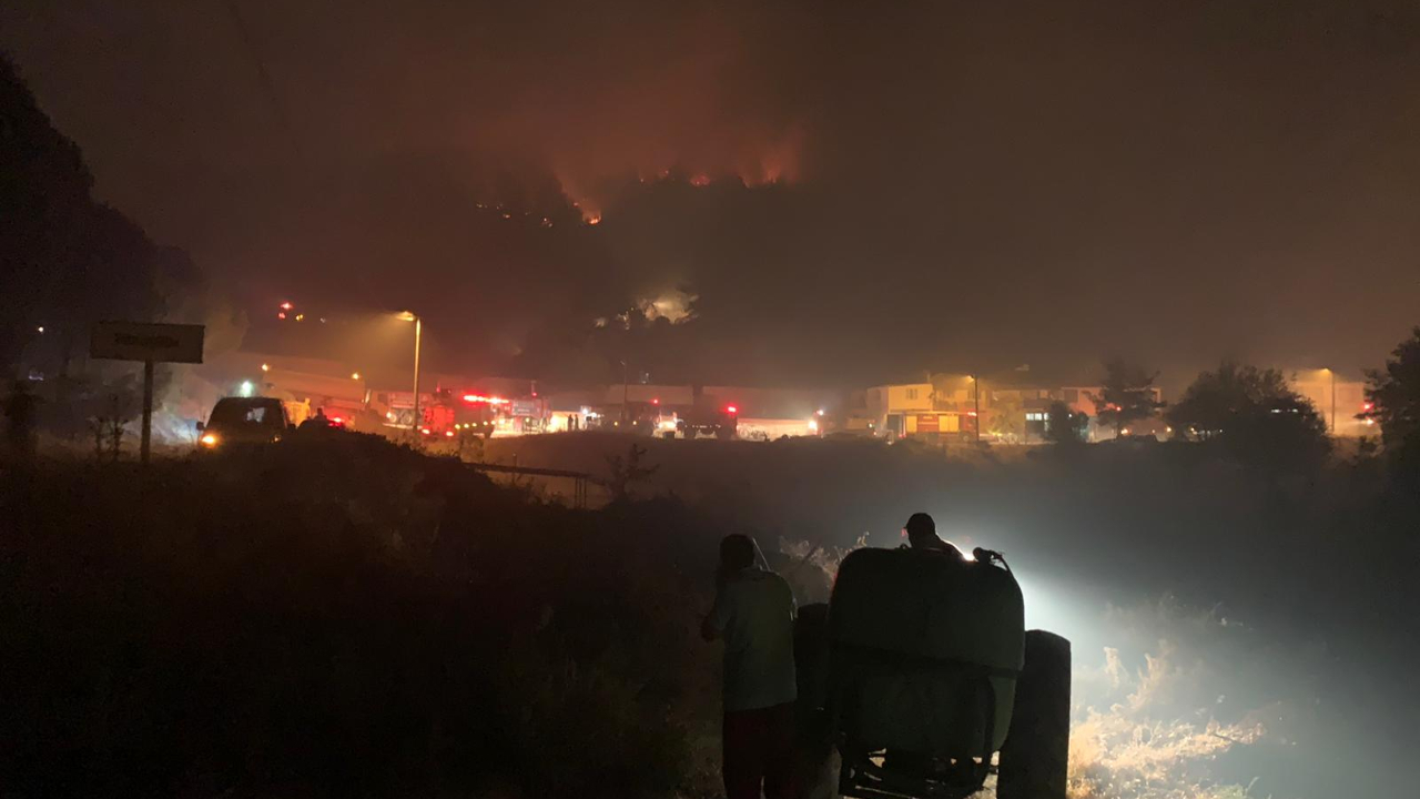 Manisa'da orman yangını