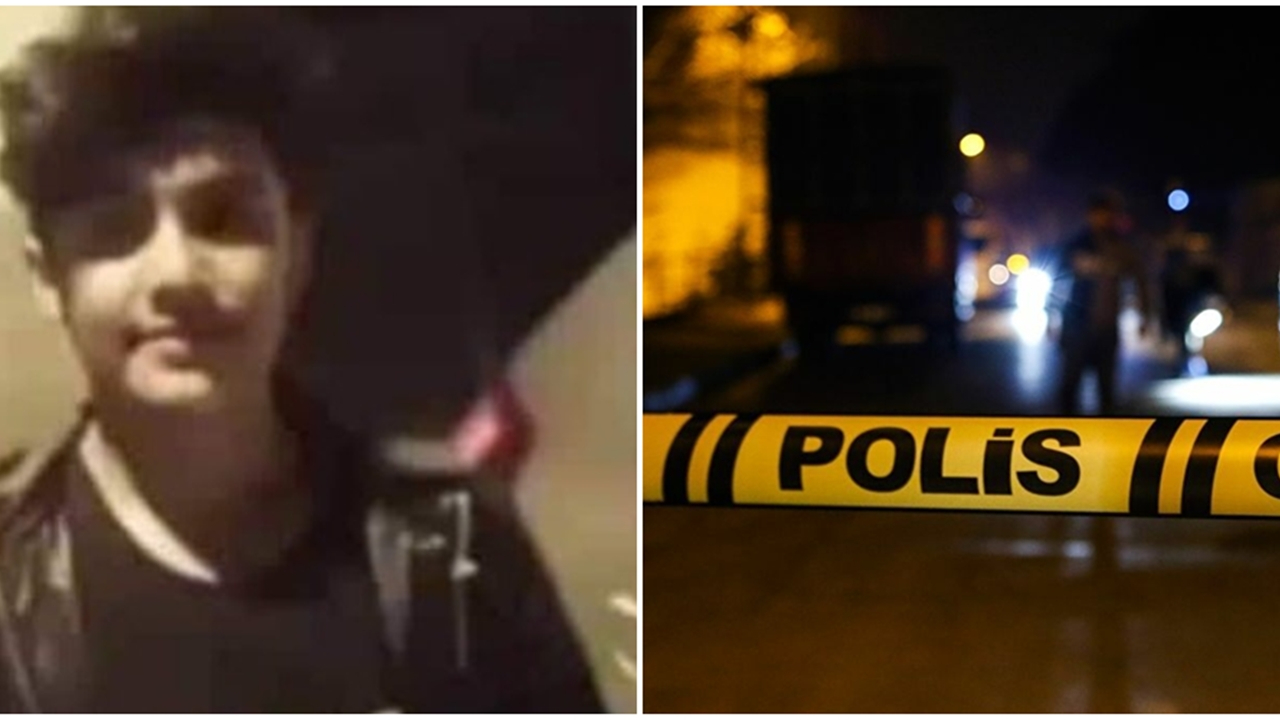 Kaplumbağayı ezmemek için canından oldu
