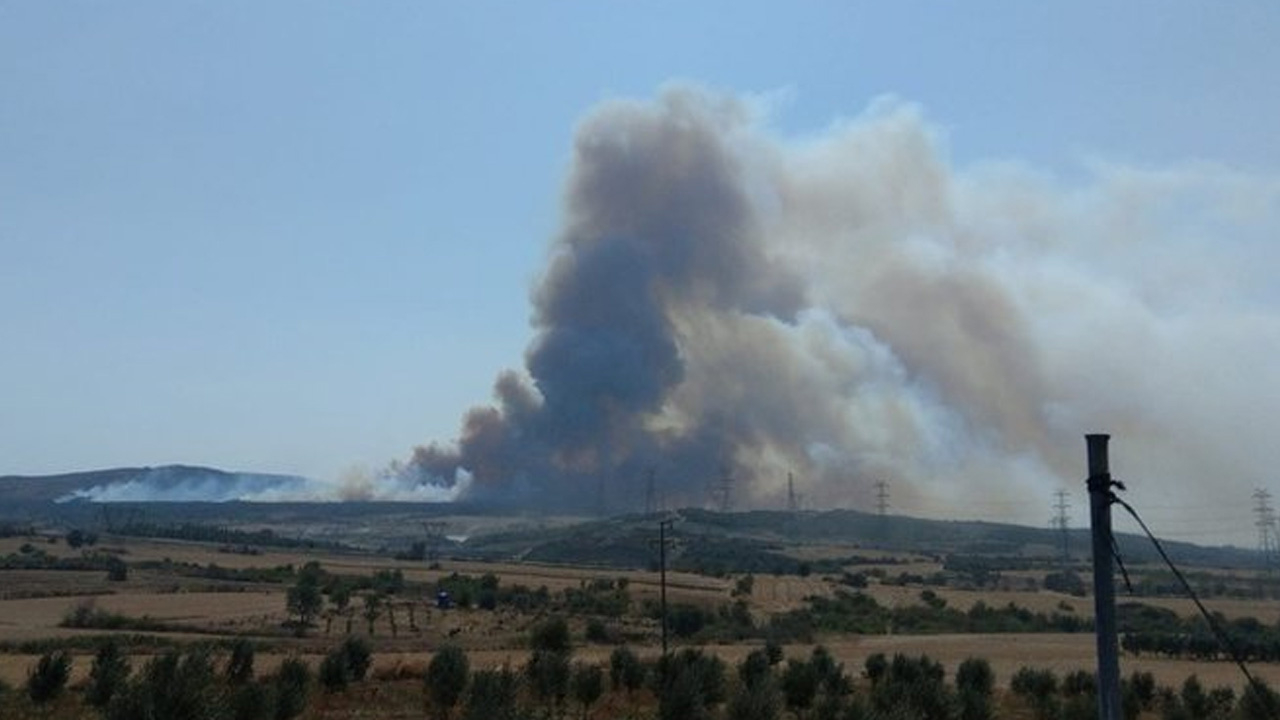 Gelibolu'da orman yangını