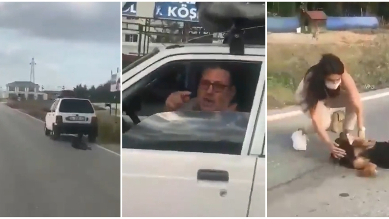 Köpeği araca bağlayarak sürükledi
