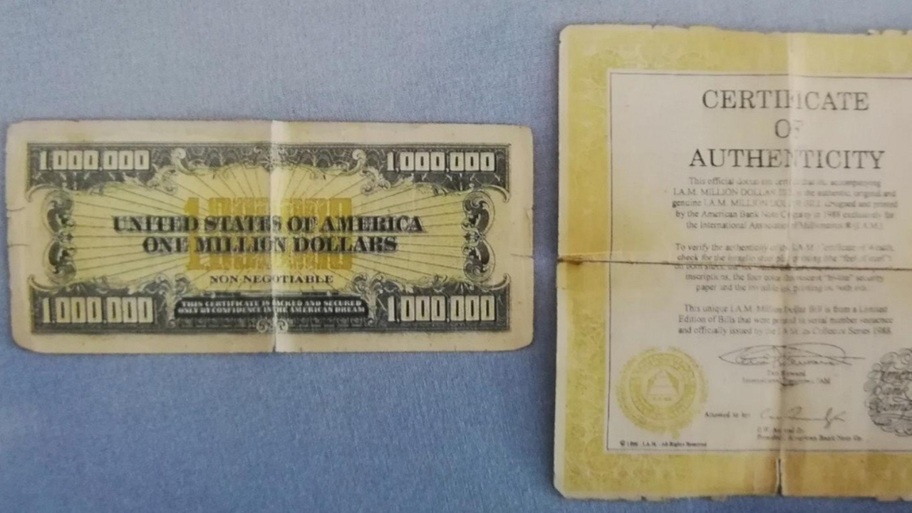 Üzerinde 1 milyon dolarlık banknot ele geçirildi