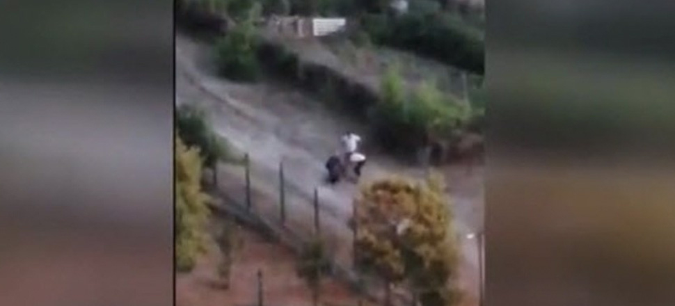 Başakşehir'de sokak köpeklerini besleyen kadını baba-kız darp etti!