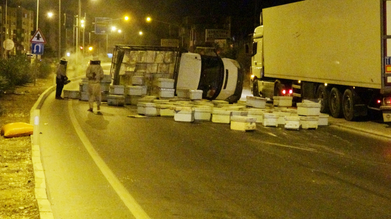 Kızgın arılar yolu trafiğe kapattı