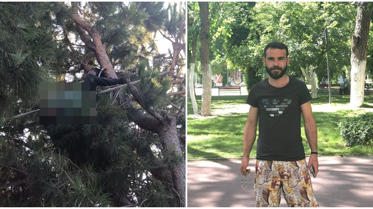 Kozalak toplamak isterken canından oldu