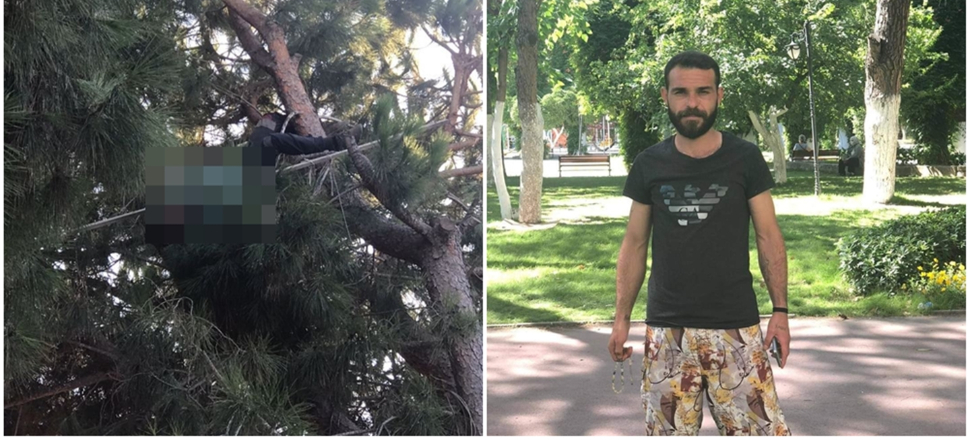 Kozalak toplamak isterken canından oldu