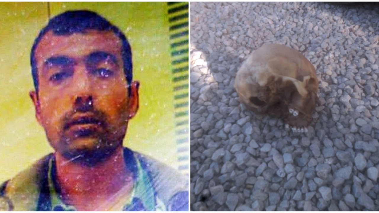 Köpeklerin bulduğu kafatası bakın kime ait çıktı