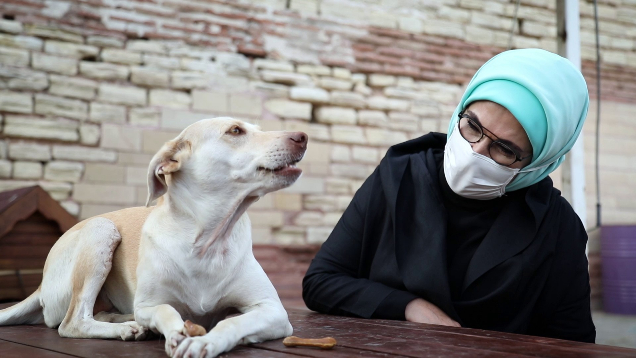 Emine Erdoğan, engelli köpeği sahiplendi