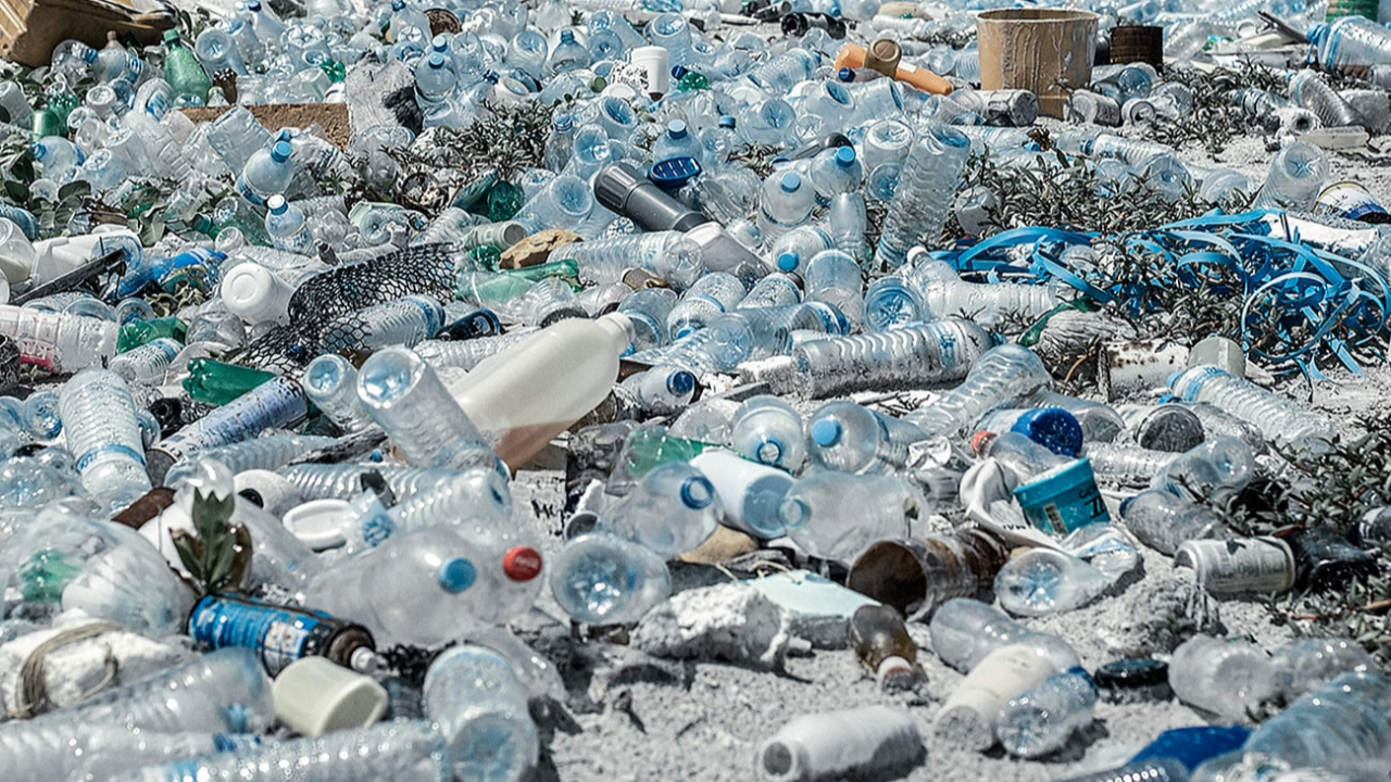 Tek kullanımlık plastikler yasaklanıyor