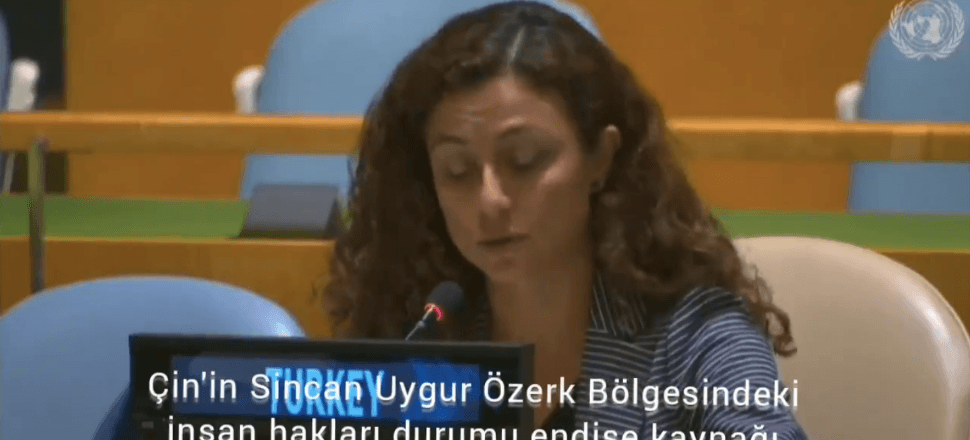 Türkiye'den BM'ye Doğu Türkistan çağrısı!
