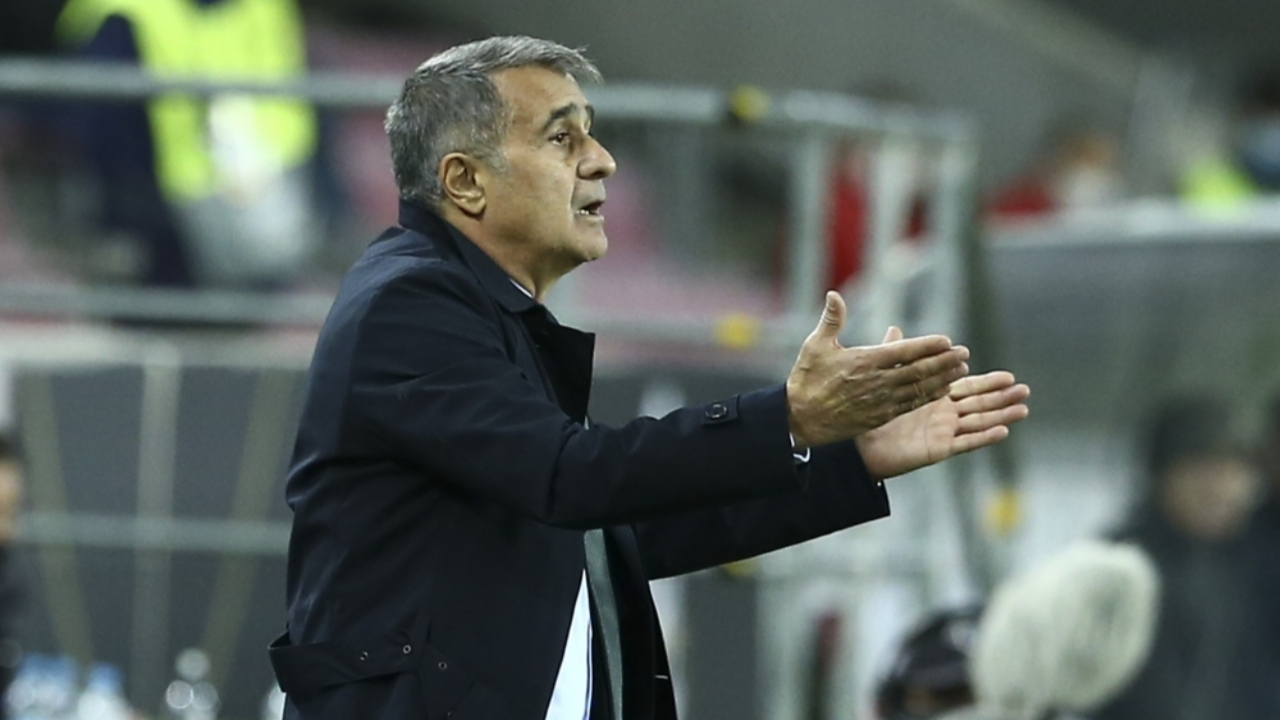 Şenol Güneş: Almanya'dan alacağımız çok ders var