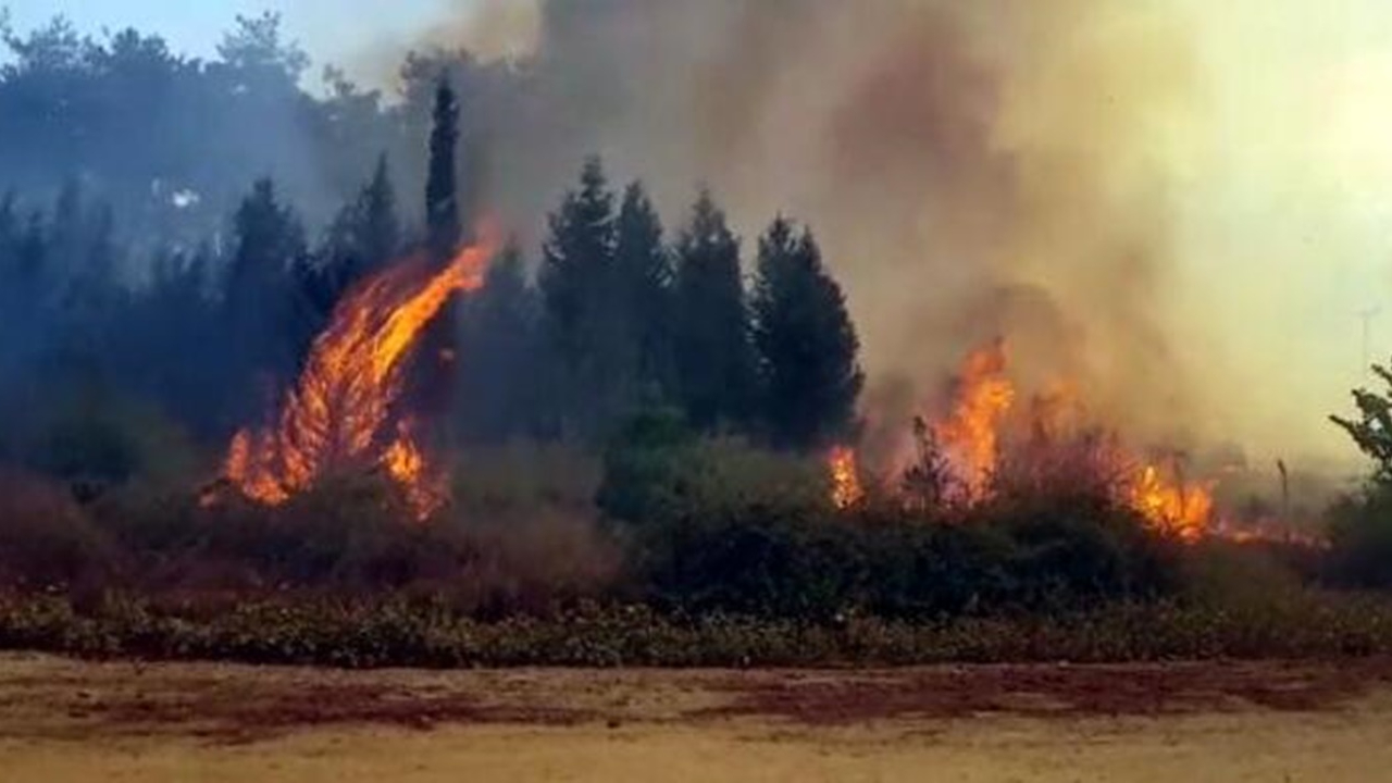 Kahramanmaraş'ta 4 ayrı noktada yangın