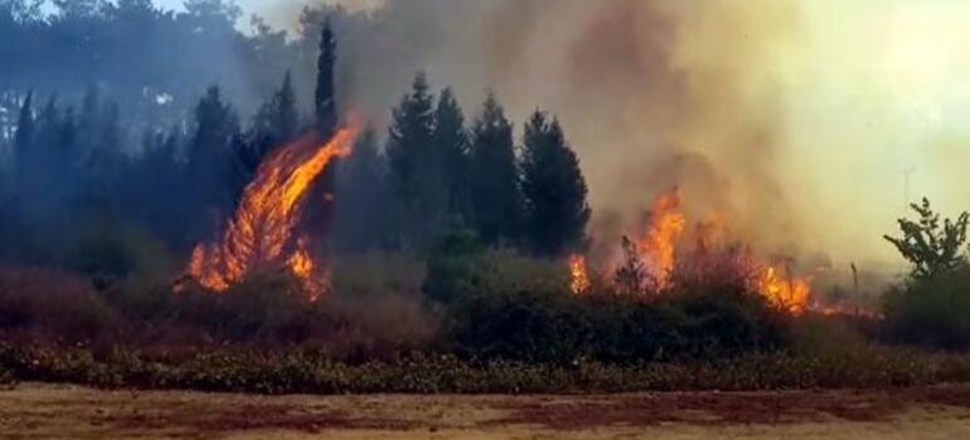 Kahramanmaraş'ta 4 ayrı noktada yangın